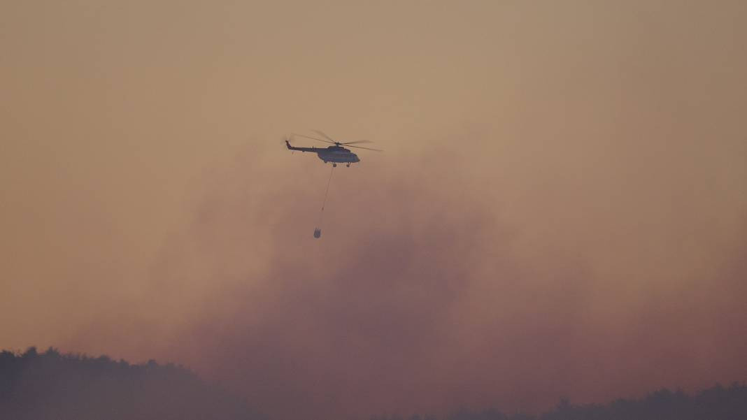 Çanakkale'deki Tarihi Alan'ın güney hattı ziyarete açıldı! Orman yangınında kapatılmıştı - Resim: 35